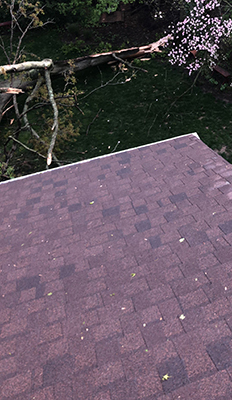 Roof Repair Services